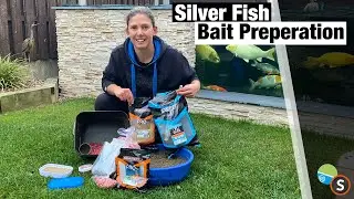 Bait Preparation - Commercial Silver Fish