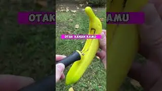 ada yang tau? #faktarandom