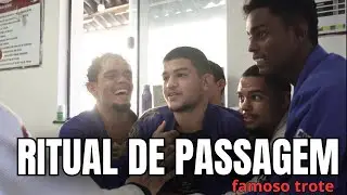 GFTeam matriz - Treinos e minha rotina di&aacute;ria