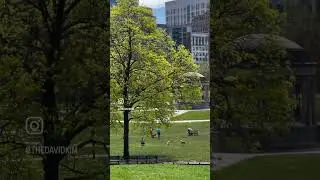 Boston Common