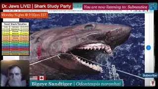 Dr. Jaws LIVE! #37 Bigeye Sandtiger Study Party