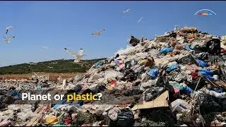 Plastic Bag Ban