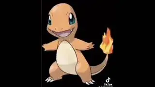 Hi there my name is charmander