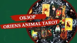 Oriens tarot / Oriens animal tarot / 2е инди издание / Обзор колоды