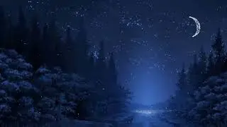 ＷＩＮＴＥＲ ＮＩＧＨＴ| LOFI | CHILLOUT | AMBIENT | Music by FGH