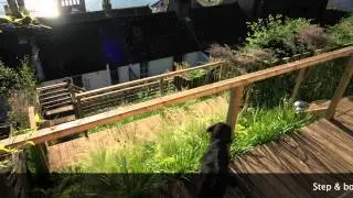 Seaside Garden Design & Build