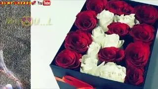 🌷E🌷 
