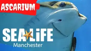 What's at the SEA LIFE Manchester Aquarium Halloween Event ASCARIUM