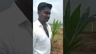 motivational video #arrahman #farmlandsforsale #elapugazhum #moshaevincent #chennai