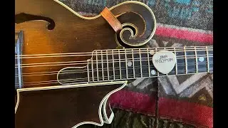 Apollo John Reischman Picks Demo from Peghead Nation