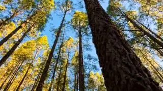 Mountain Trance.MP4