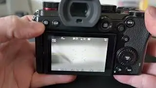 Количество срабатываний затвора на Panasonic Lumix S5
