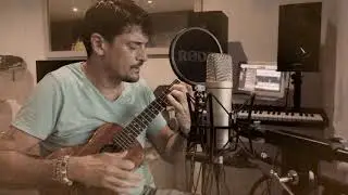 Duran Duran,ordinary world ukulele cover