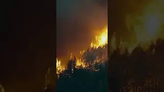 Flying embers. Watch #wildfire on Knowledge.ca. #knowledgenetwork