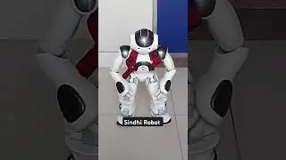 Sindhi Robot || Sukkur IBA University