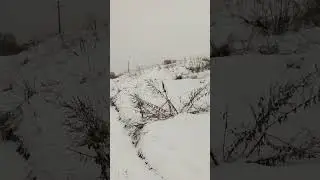 Про страдания, дуальность и соблюдение баланса (говорилка)☺️
