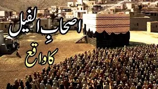 Ashabul Feel Ka Waqia || Hatheyon Ki Fouj || Ibraha Ka Anjaam Ababeel ||