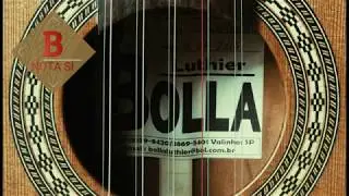 Afina&ccedil;&atilde;o da Viola - Cebol&atilde;o em Mi Maior
