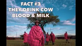 Learn first hand about the Maasai Tribe after epic Safari weekend (Pt2)