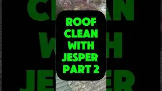 You just have to see this change! Roof cleaning with Jesper 2 Great job Jesper!