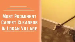 Most Prominent Carpet Cleaners In Logan Village | Carpet Steam Cleaning | Back 2 New Cleaning