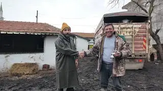 RAMİZLE REİSİ SATTIM!KÜMES YAPTIK!#keşfet #kümes #youtubeshorts