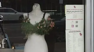 Bra Crawl for breast cancer awareness across WNY