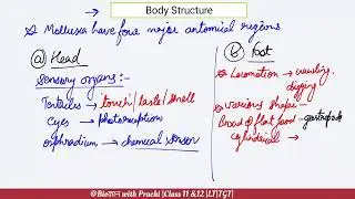 Phylum ~ Mollusca | LT grade ज्ञान Batch |TGT by Biogyanwithprachi