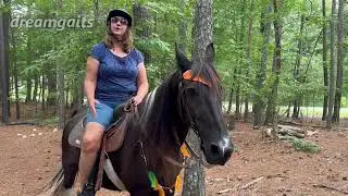 Horseback riding with my mini australian shepherds and Easyboot Trail review