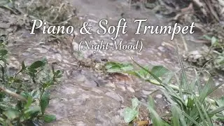 Piano & Soft Trumpet (Night Mood)