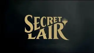 MTG Secret Lair - Artist Series Rovina Cai
