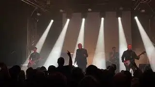 Die Art | Eternal Fall (Live Beatpol Dresden, 01.04.2023)