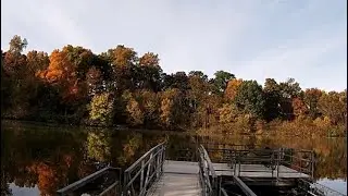 Bee Tree Park: Fisherman&rsquo;s Trail (Oakville, MO) - Fall &lsquo;20