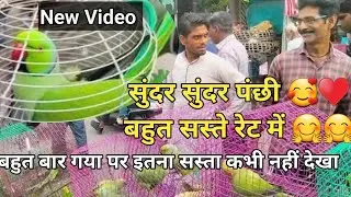 Bird Market in Kanpur / Bakarganj Bird Market Kanpur / Sunday Birds Market LatestVideo #birds