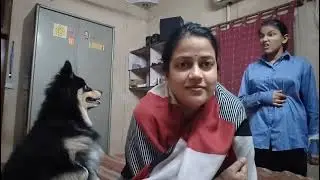 🐕 4 day exercise ke mood mein hai😀