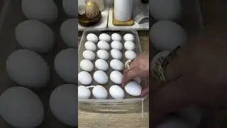 Shein kitchen finds #shein #kitchen #gadgets @shein