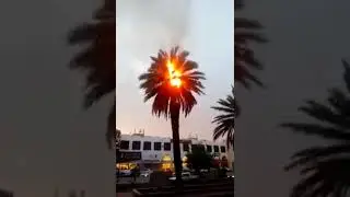 ​Kuwait | Temperature 62 Degree celcius thats why burn trees