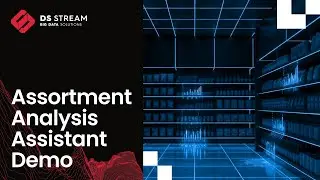 Assortment Analysis Assistant Demo