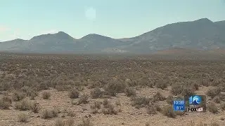 'See them aliens?' Air Force ruins the Area 51 fun party