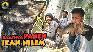 Mancing Melem / Nilem Sungai Winongo Jogja || Spot Tepat di Sarang Babon Hampala Lurrrr...!!!