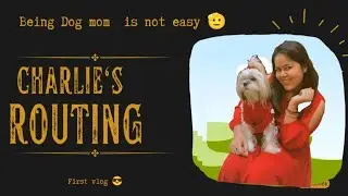 Charlie ki grooming|dog mom's life|not easy 🫡