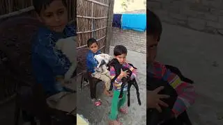 I'M SHARING MY DAILY LIFE ON CAMERA!  #shorts #love #vlog