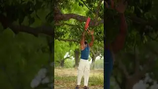 Desi Evening Routine and Workout