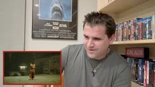 Stray Gameplay Trailer - REACTION
