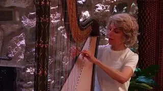 Lisa Tannebaum plays Cours D'eau, Aurelien Hallopeau