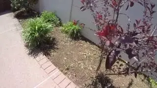 Mulch Job (vlog 5)