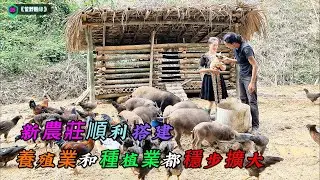 新農莊順利搭建，養殖業和種植業都穩定擴大，真期待有所收成的一天《荒野姻緣》05