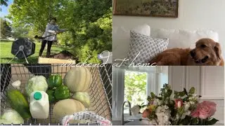 Weekend vlog, school update, fixing my compost, and grocery shopping