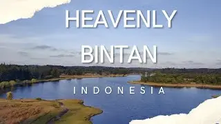 Discovering the Wonders of Lake Lagoi | Bintan Island | Indonesia Wonderful