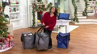 Durasack Set of 3 Small Endless Use Storage Totes with Zipper on QVC
